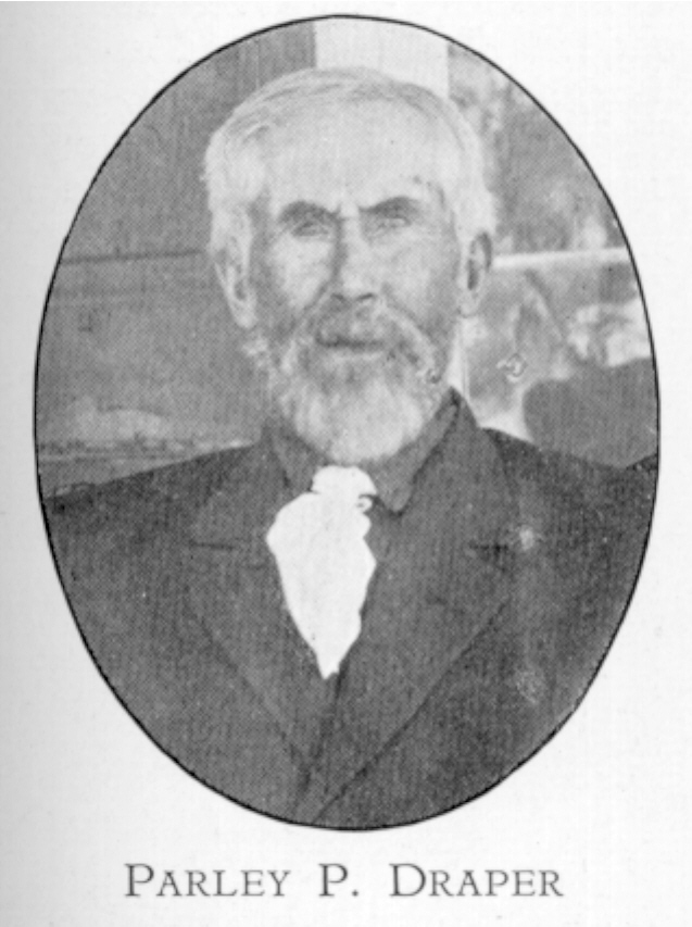 Parley Pine Draper
