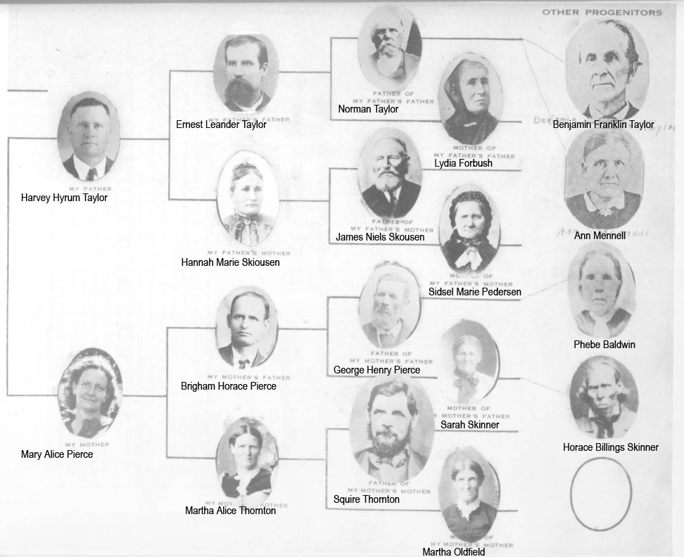 Harvey Hyrum Taylor 1890-1972 Photo Pedigree