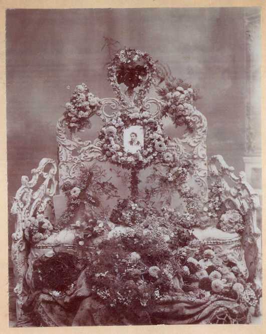 Nancy Viola Brown 1876-1893 Memorial