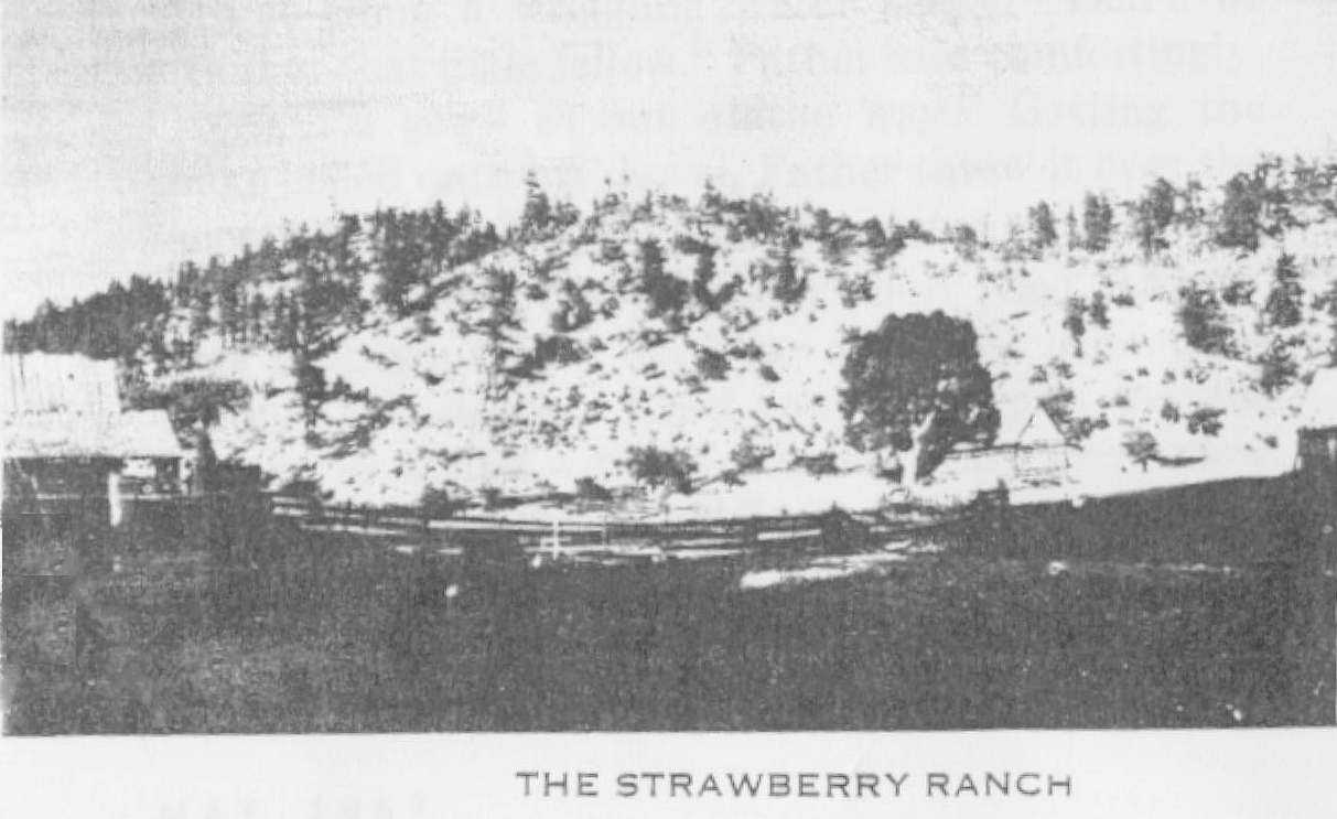Strawberry Ranch, Sierra Madre Mountains, 25 miles west of Colonia Juarez, Mexico