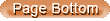 Page bottom button