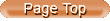 Page Top button