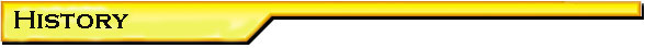 section header - biography
