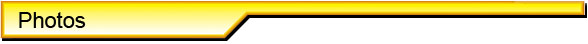 section header - biography