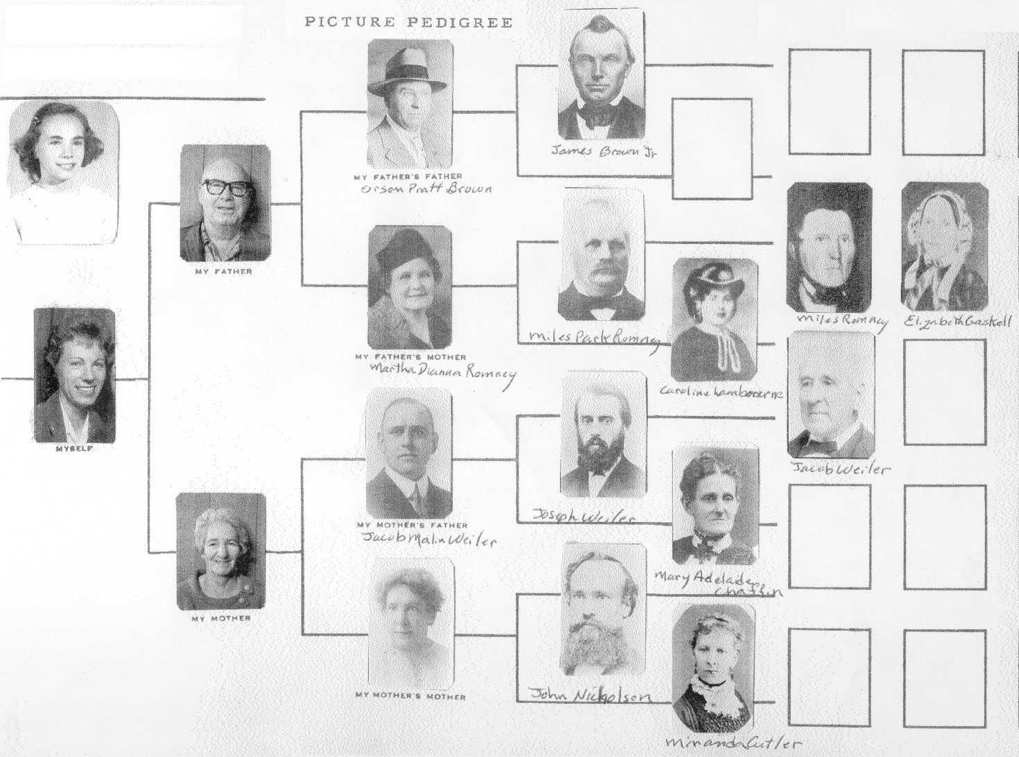 Pedigree including Romney, Malin, Weiler, Nicholson, etc.