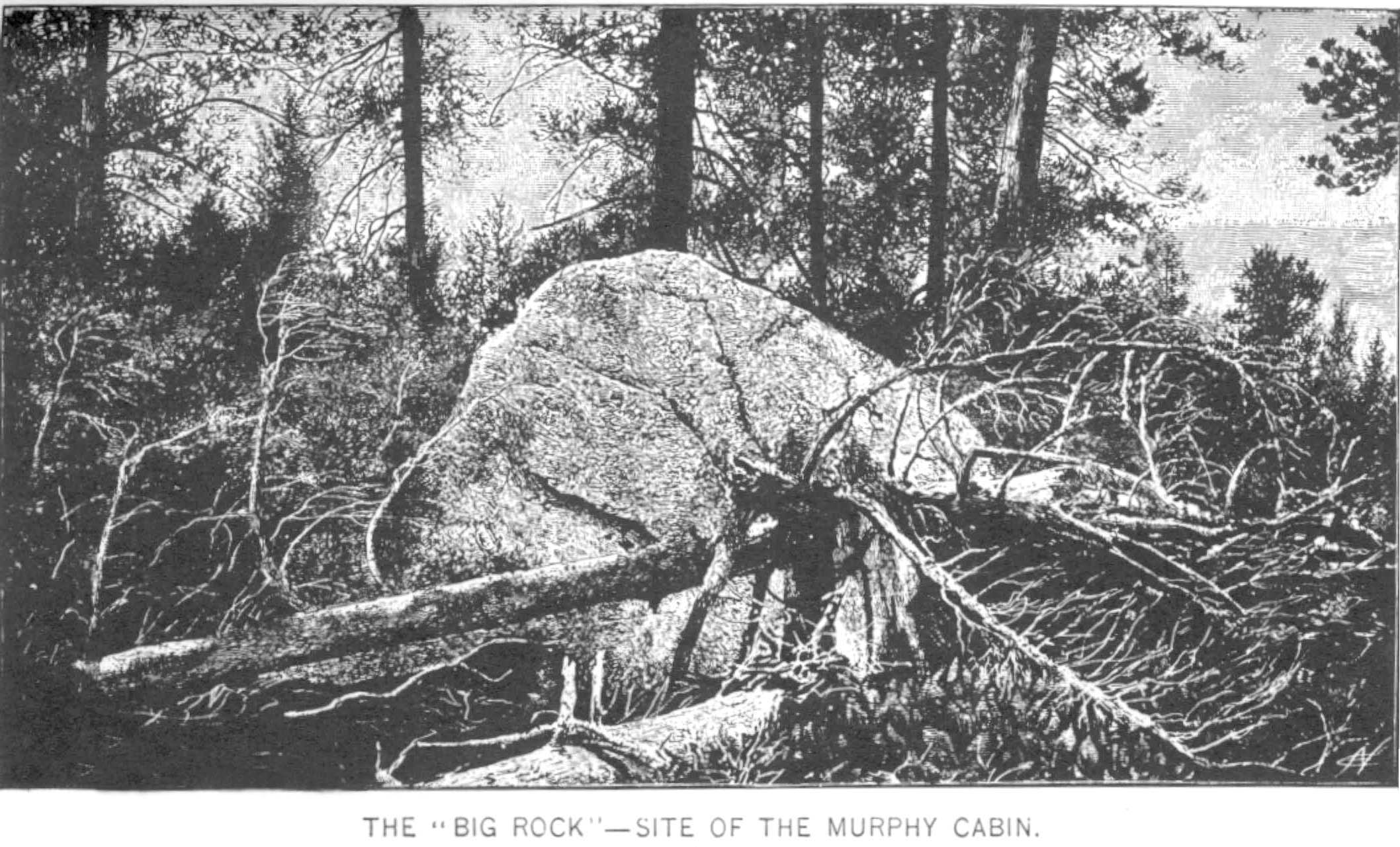 Site of the Murphy cabin at Donner Pass